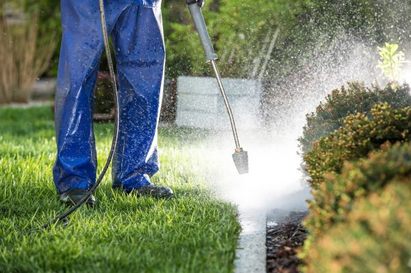 Cost of Curb Cleaning in Charlottesville