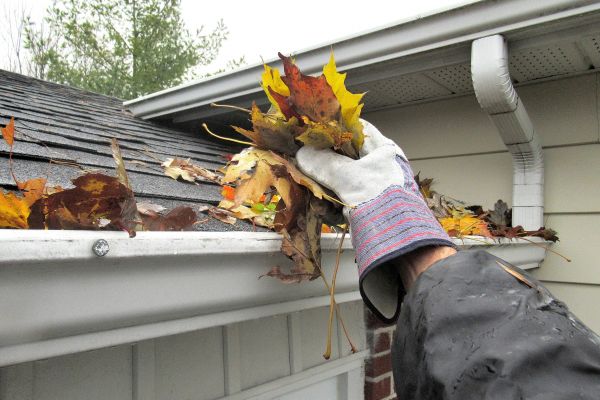 Cost of Eaves Cleaning in Charlottesville